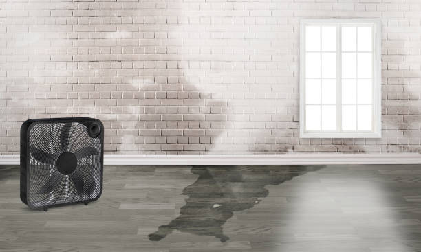 Best 24/7 water damage repair  in Barview, OR