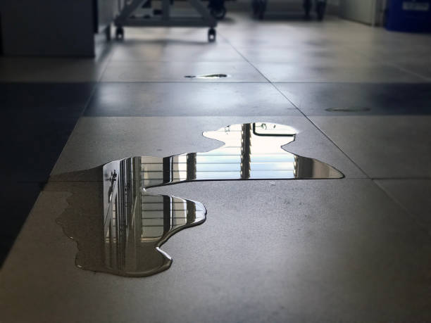 Best Water damage restoration experts  in Barview, OR